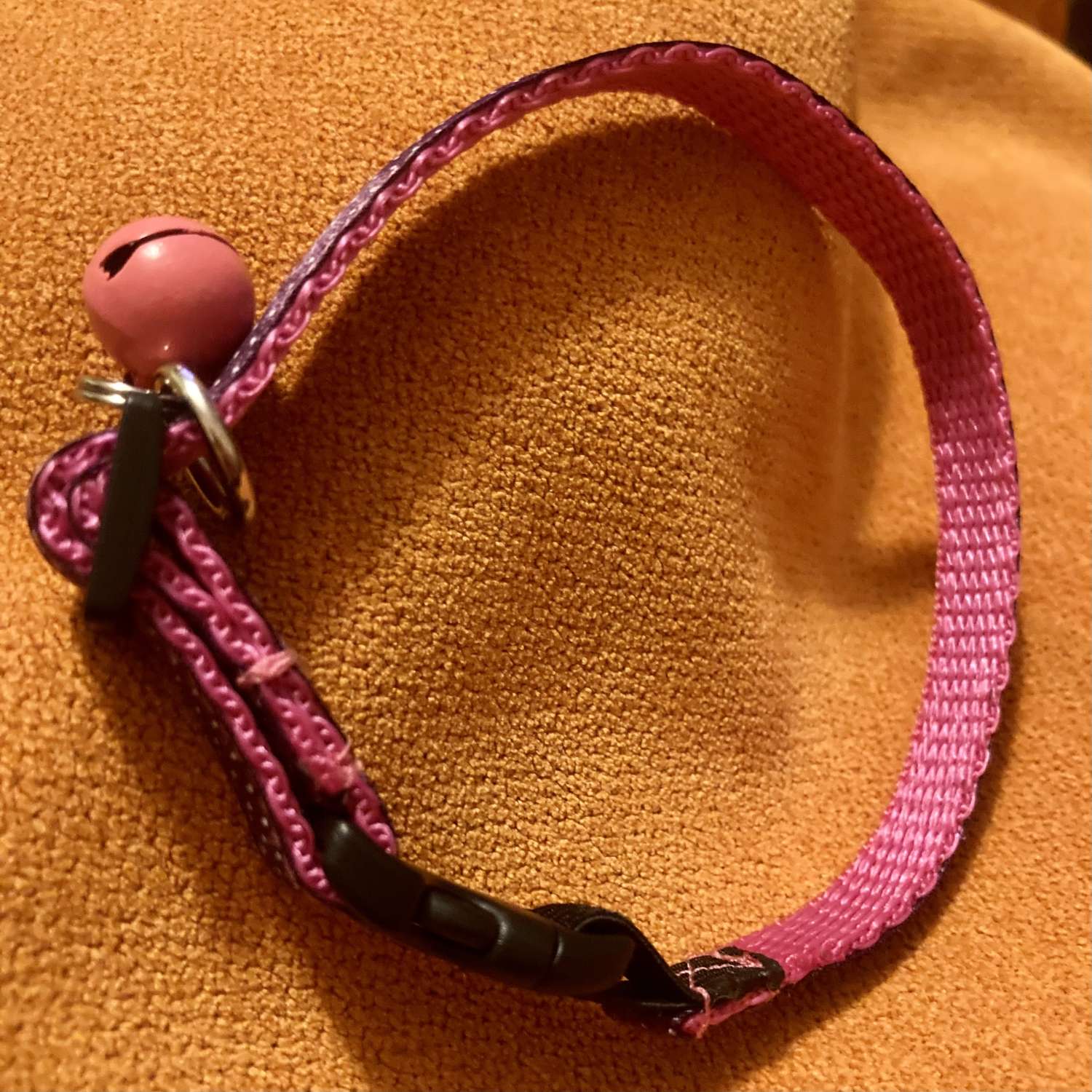 Purple spotty cat collar Purple spotty cat collar