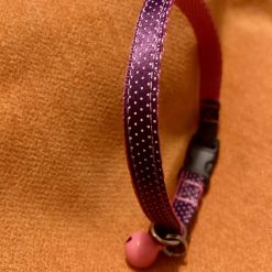 Purple spotty cat collar