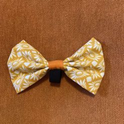 Dog bow on elastic