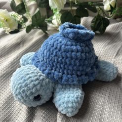 Blueberry turtle