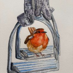 Robin in Styrup