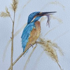 Mr Kingfisher