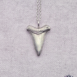 PENDANT ONLY - Shark Tooth Sterling Silver Pendant