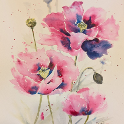 Pink Poppies