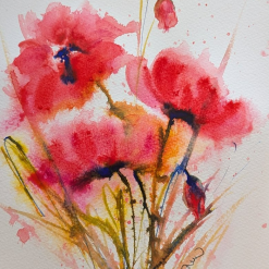 Red Poppies