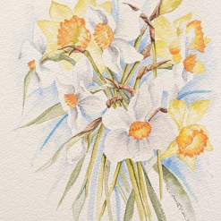 Spring Daffodil bouquet