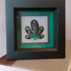 Shell Peacock Picture - Black Frame