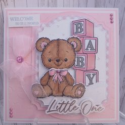 Welcome to the World - Little One - Pink - Teddy, building blocks & organza bow