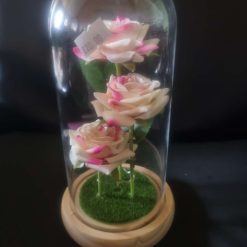 Rose in a glass dome vase