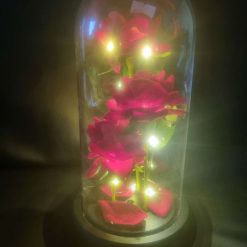 Light up rose in dome vase 1 Light up rose in dome vase 1
