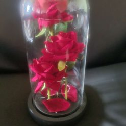 Light up rose in dome vase
