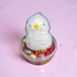 Plastic Easter Egg with Wind Up Chick