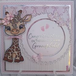 Congratulations on the birth of your Grandchild - Pink - Giraffe