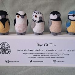 Box Of Tits (birds)