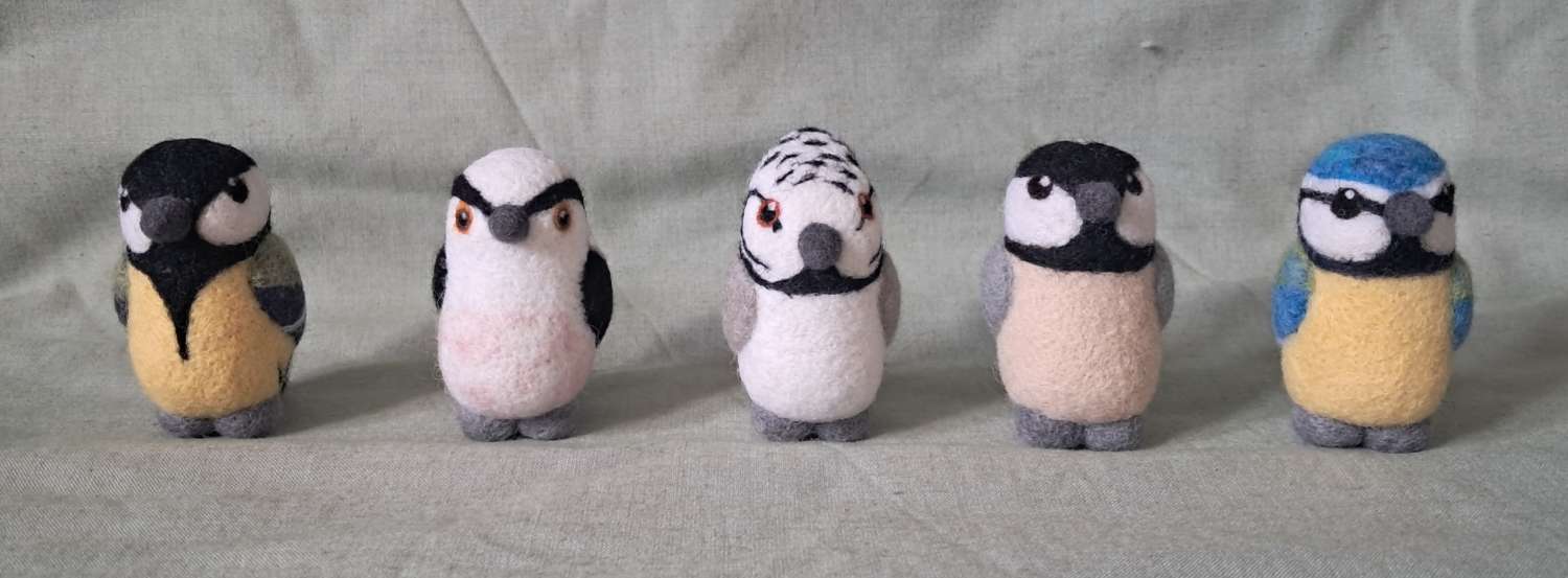 Box Of Tits (birds) Box Of Tits (birds)