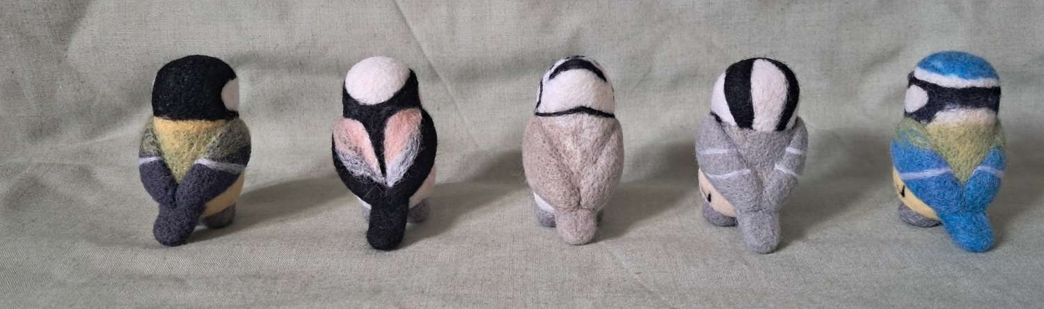 Box Of Tits (birds) Box Of Tits (birds)