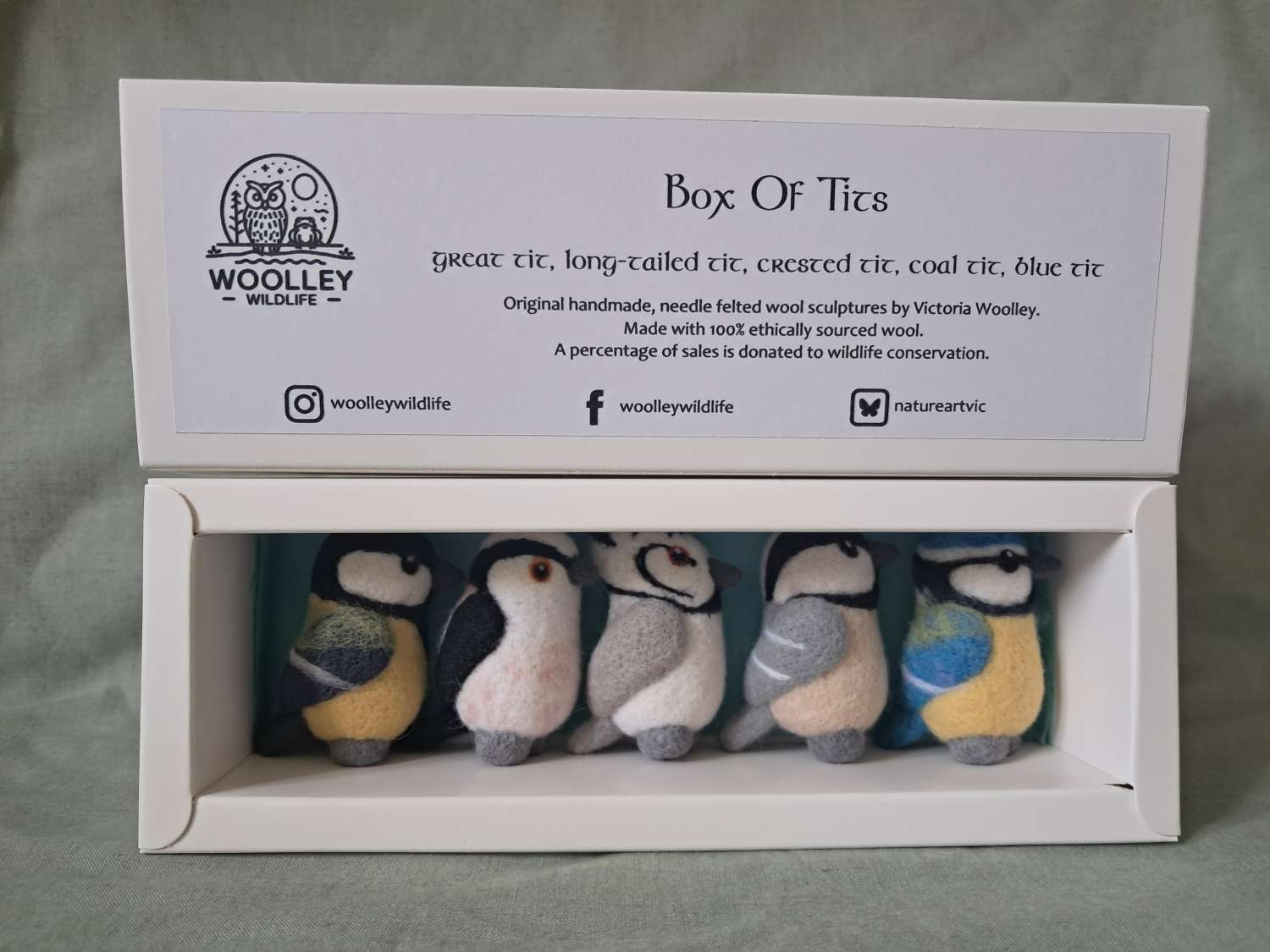 Box Of Tits (birds) Box Of Tits (birds)