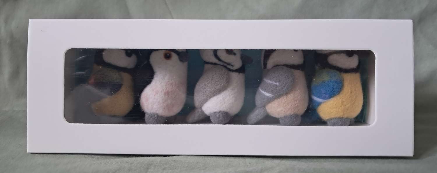 Box Of Tits (birds) Box Of Tits (birds)