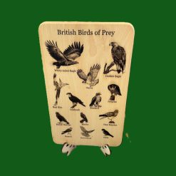 British Birds of Prey