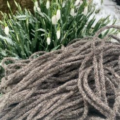 Brampton Natural Braid