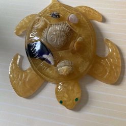Sea turtle 🐢