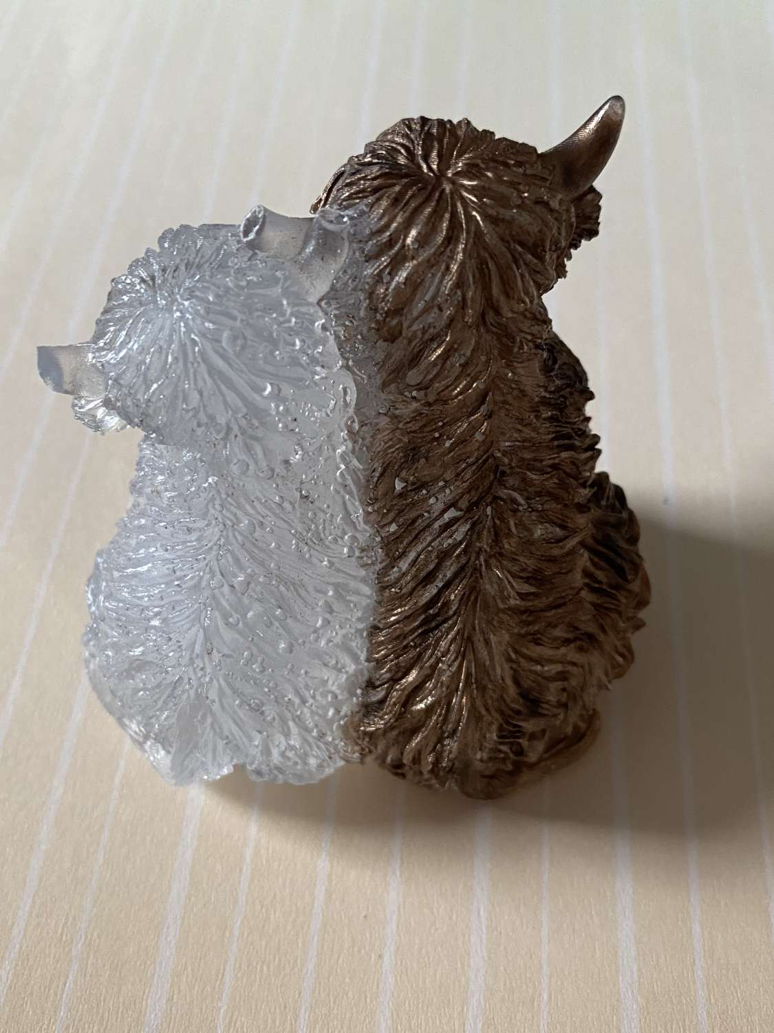 🤎🤍 Highland Cow Duo 🤍🤎 🤎🤍 Highland Cow Duo 🤍🤎