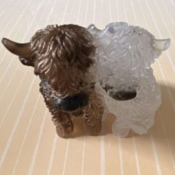 🤎🤍 Highland Cow Duo 🤍🤎 1 🤎🤍 Highland Cow Duo 🤍🤎 1