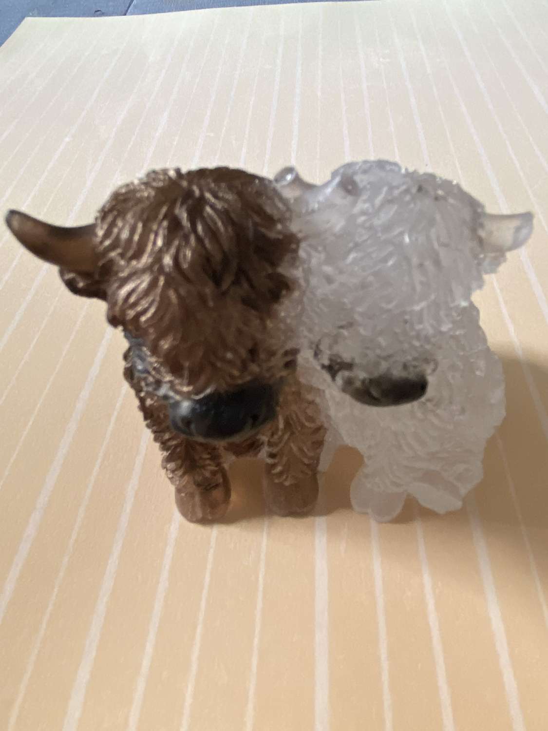 🤎🤍 Highland Cow Duo 🤍🤎 🤎🤍 Highland Cow Duo 🤍🤎