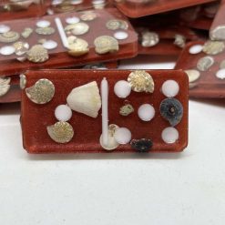 Shell Domino Set 4