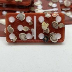 Shell Domino Set 5