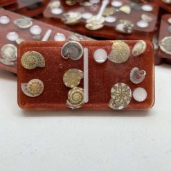 Shell Domino Set