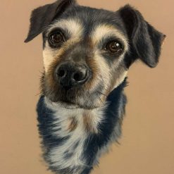 Pet Portraits! 2
