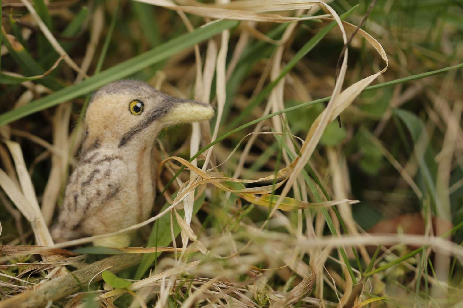 Wild Woolley Friends - Bittern Wild Woolley Friends - Bittern