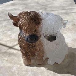 🤎🤍 Highland Cow Duo 🤍🤎