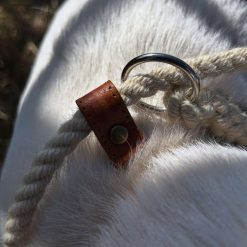 Sutton Slip Dog Lead