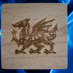 Welsh Dragon Coaster 3