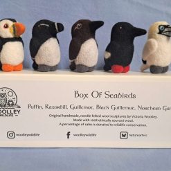 Box Of Seabirds
