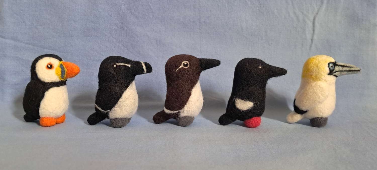 Box Of Seabirds Box Of Seabirds