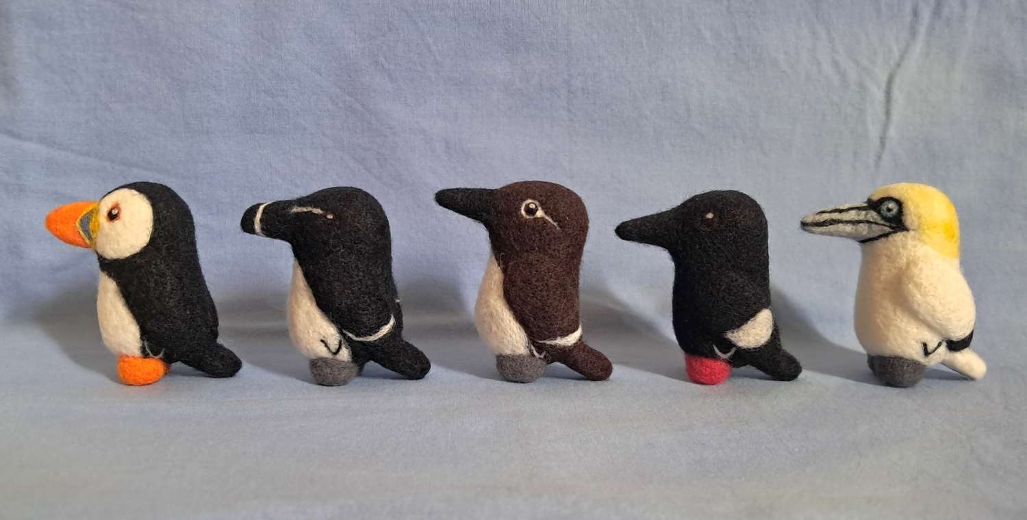 Box Of Seabirds Box Of Seabirds