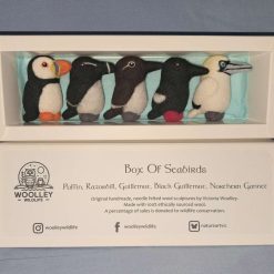 Box Of Seabirds 5 Box Of Seabirds 5