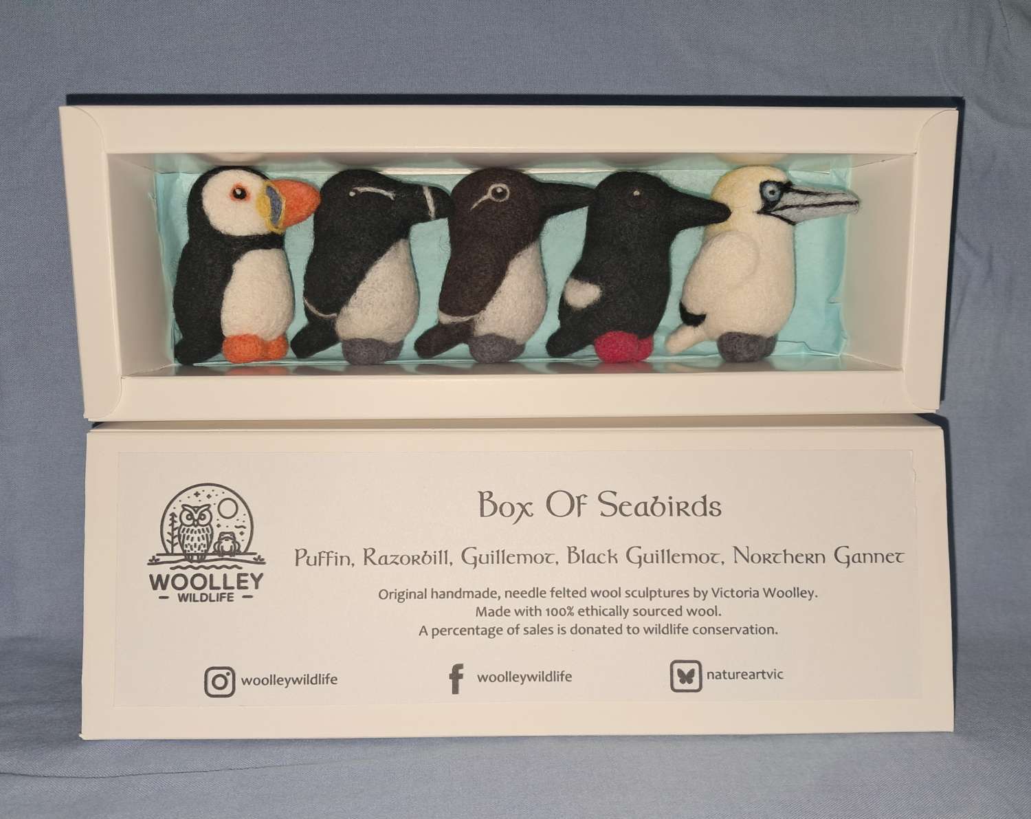 Box Of Seabirds Box Of Seabirds