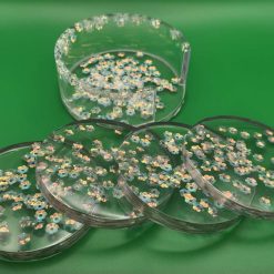 Coaster - Holder with 4 Coasters