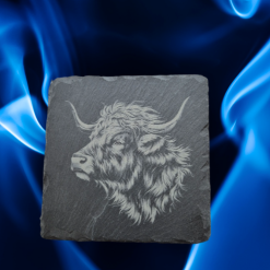 Cat on Slate