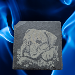 Cat on Slate
