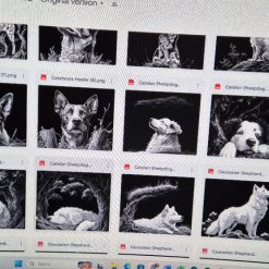 Dogs on Slate 1 Dogs on Slate 1