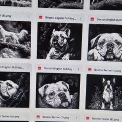 Dogs on Slate 2 Dogs on Slate 2