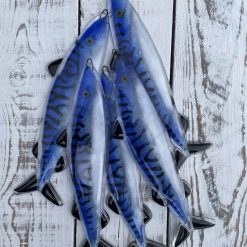 Hanging Mackerel
