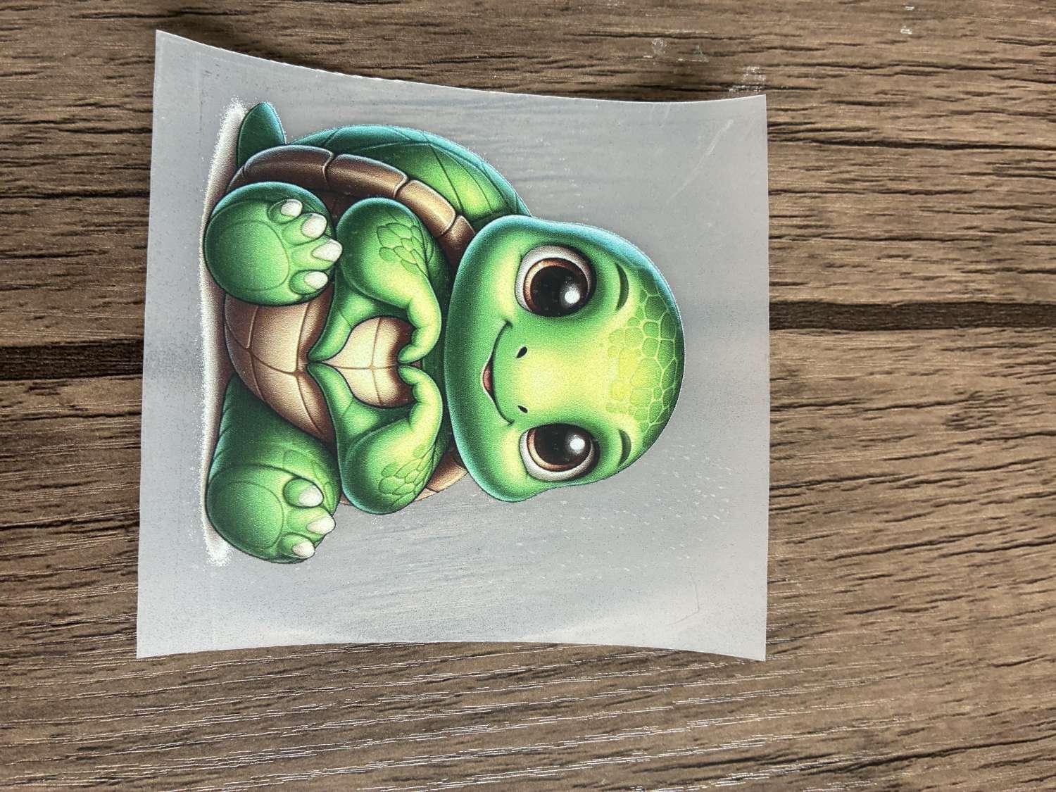 Children's T- shirts Children's T- shirts