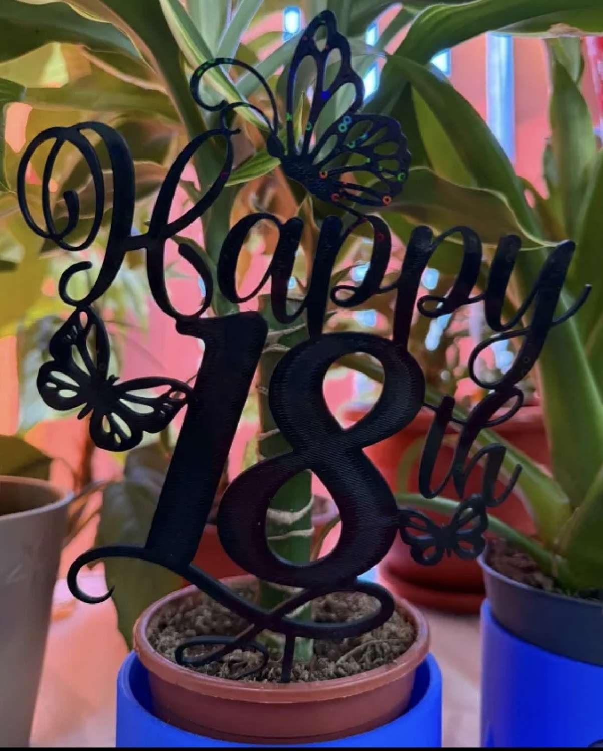 Birthday Cake Toppers Birthday Cake Toppers