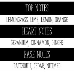 Lemongrass & Ginger Wax Melts 3